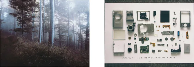 Two WordPress images placed side by side in a 50/50 Columns block on the published page